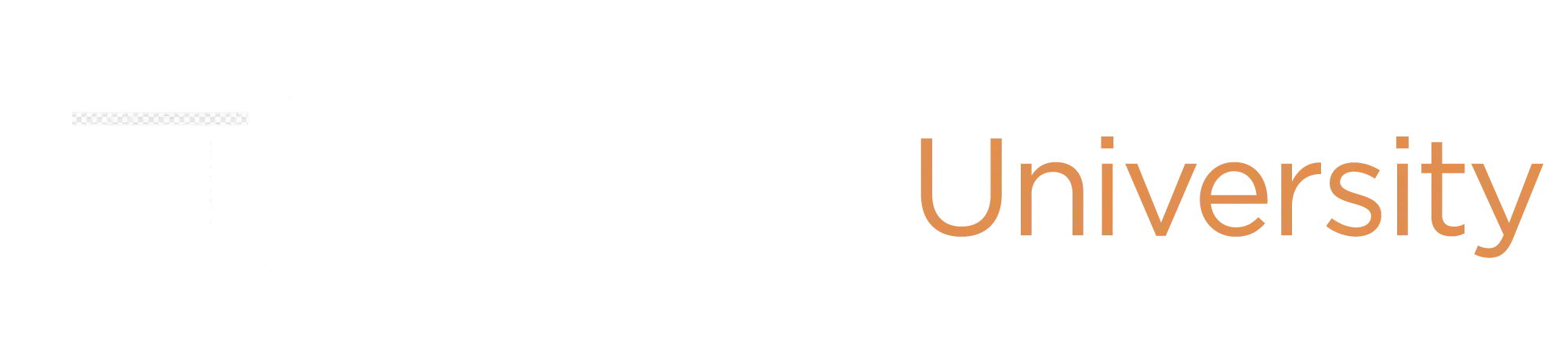 veridikal university